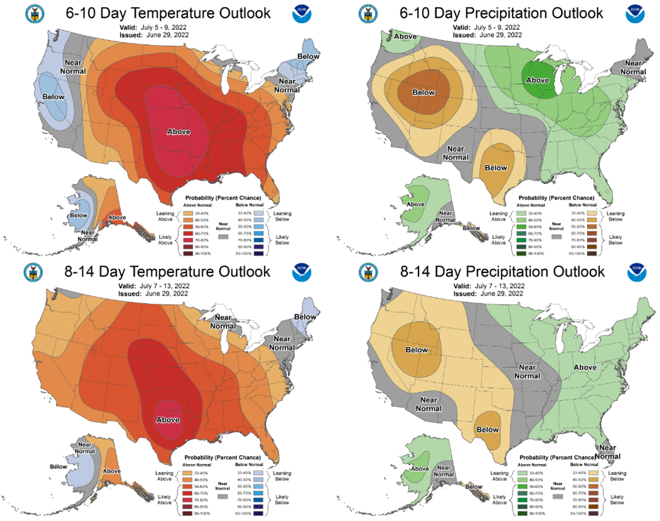 The 6-10 day (July 5-9, top) and 8-14 day (July 7-13, bottom) outlooks for temperature (left) and precipitation (right).